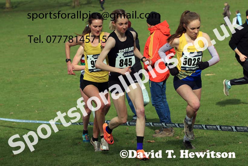 Senior Women, 2024 CAU Inter Counties Cross Country Champs., Wollaton Park, Nottingham. Photo: David T. Hewitson/Sports for All Pics